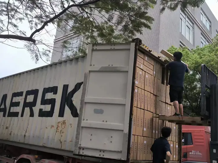 Cartons being loaded into an export shipping container
